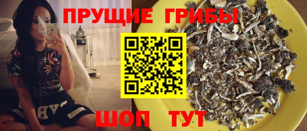 Галлюциногенные грибы мухоморы Ливны