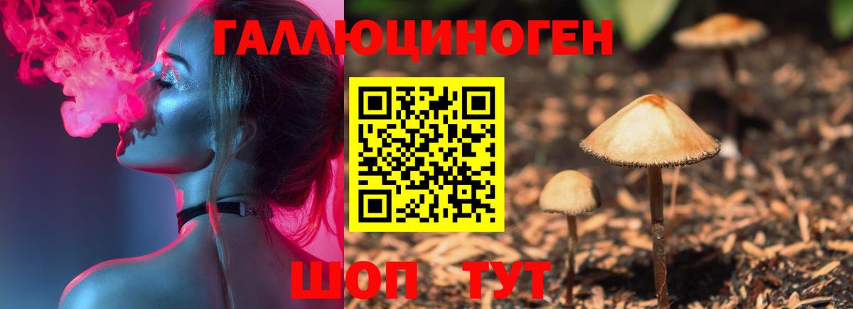 Ливны  Галлюциногенные грибы Magic Shrooms  Вход с VPN 